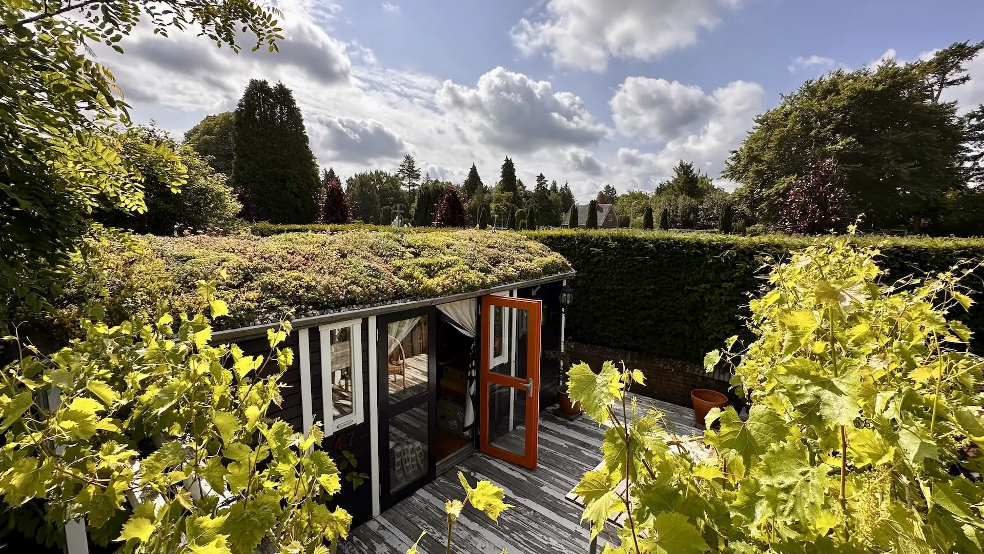 Sedum op een Pipowagen: sapperdeflap! Sedum op een Pipowagen: sapperdeflap!