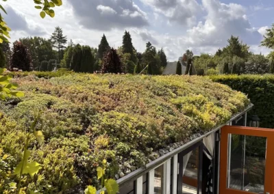Sedum op een Pipowagen