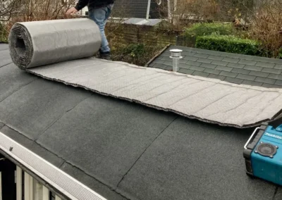 Sedum op je Pipowagen aanleg
