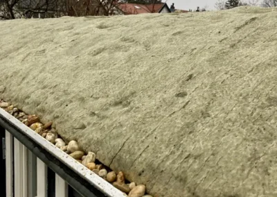 Sedum op je Pipowagen aanleg