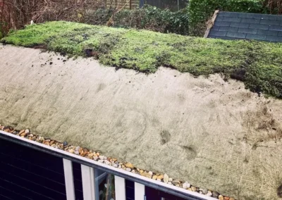 Sedum op je Pipowagen aanleg