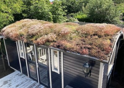 Sedum op je Pipowagen