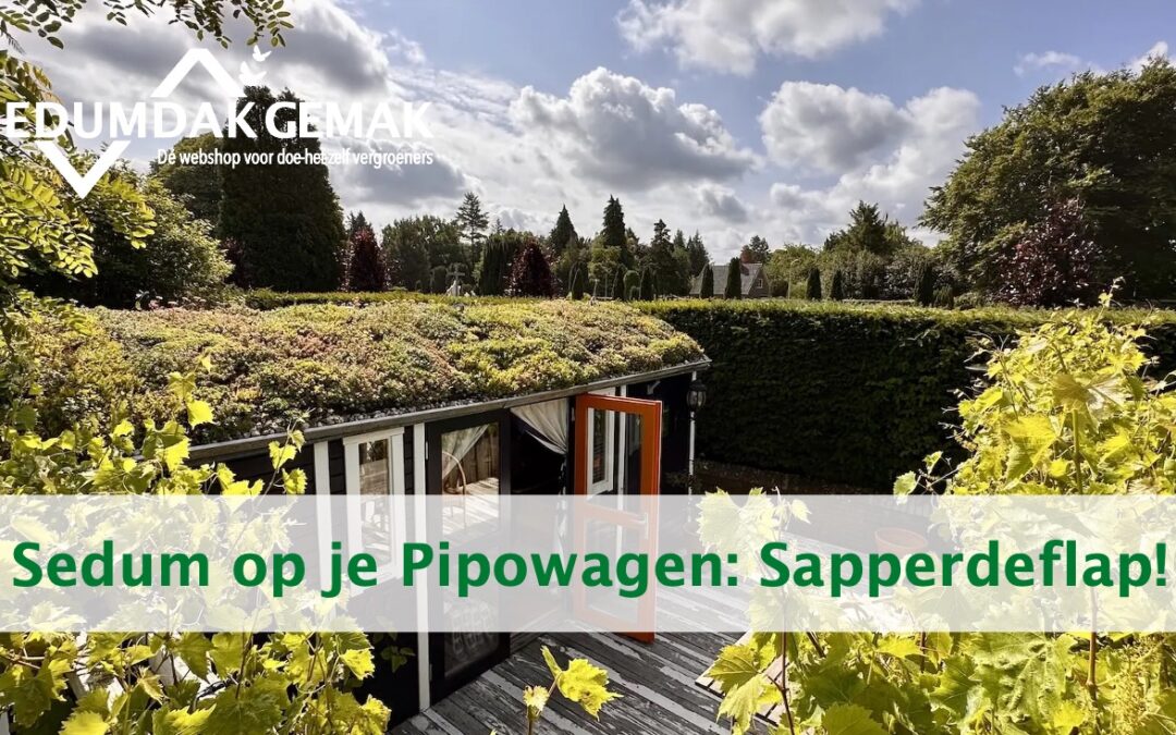 Sedum op een Pipowagen