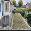 Gewone grindrand (nog niet schoongespoeld)