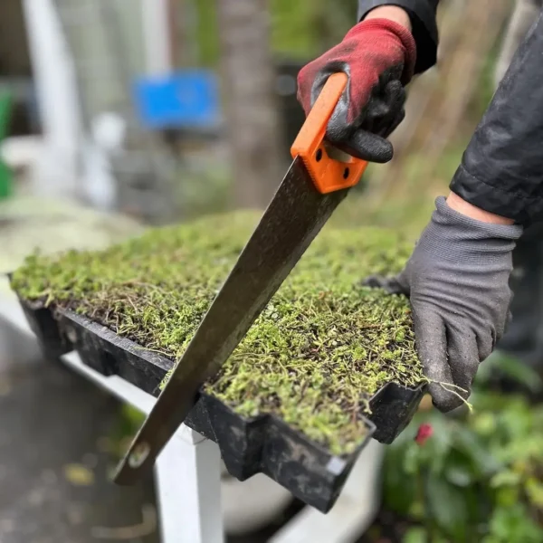 De sedumcassettes kunnen op maat worden gemaakt met een houtzaag