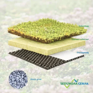 SedumPluspakket met olivijn grind