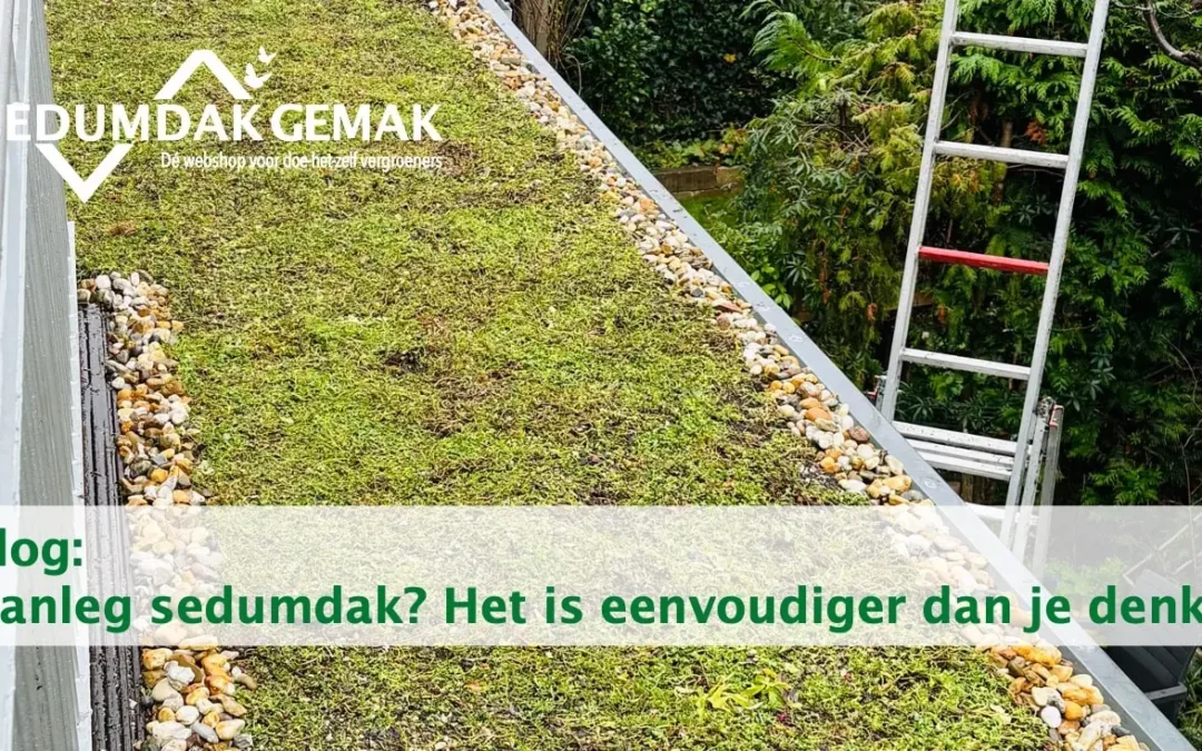 Aanleg sedumdak? Het is eenvoudiger dan je denkt!