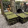 Sedumcassettes
