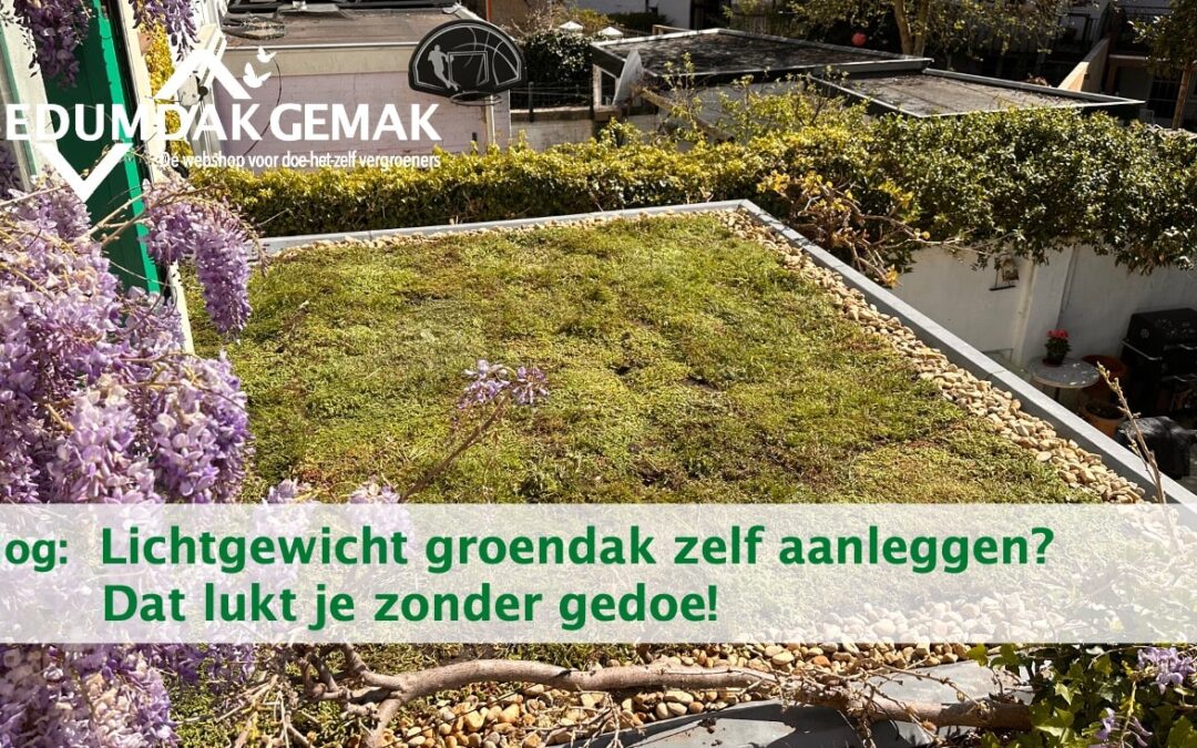 Lichtgewicht groendak zelf aanleggen