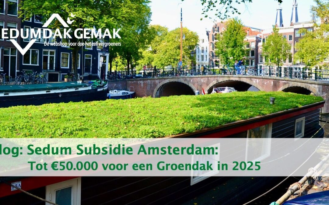 Sedum subsidie Amsterdam