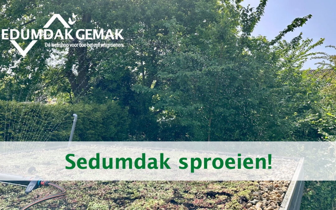 Sedumdak sproeien