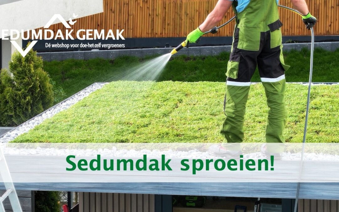 Sedumdak sproeien