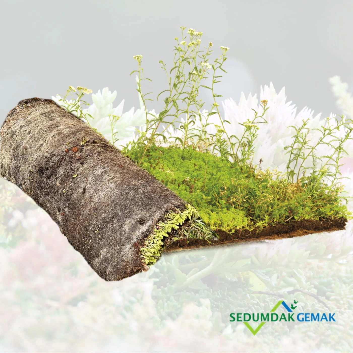 Sedummat met kruiden