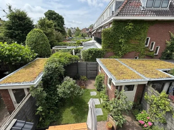 Burenproject Leiden