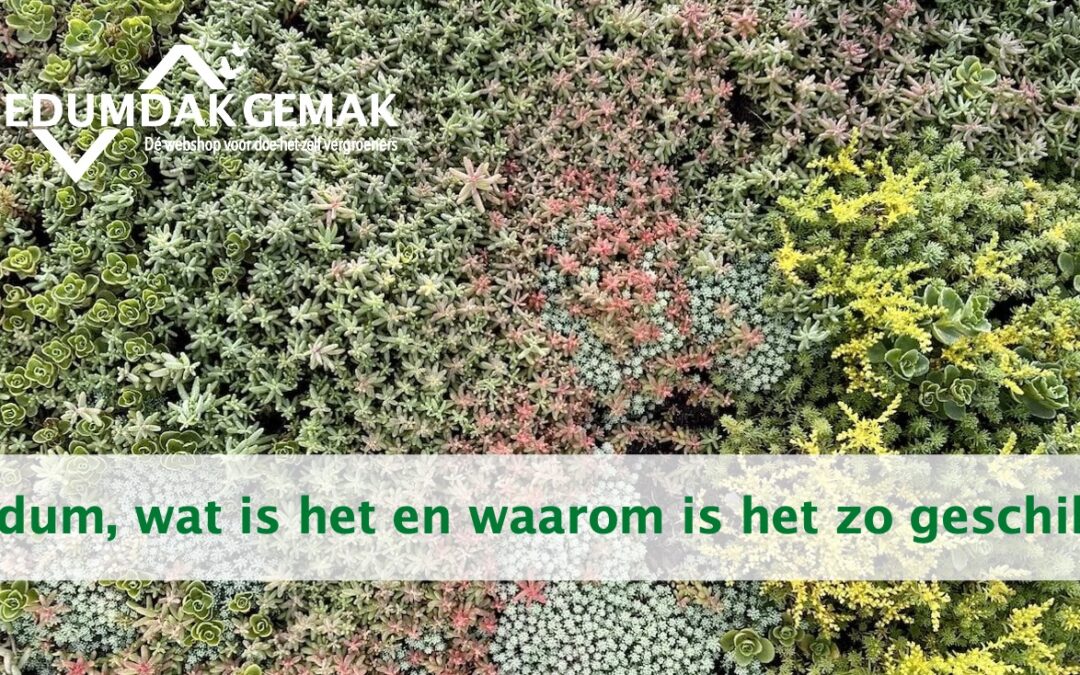 Sedum: wat is het en waarom is het ideaal voor een groendak?