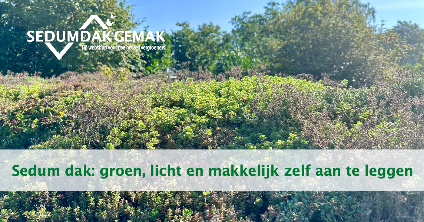 Houten eierhouderrek - essentiële keukenbewaarhouder en eierorganizer - natuurlijk