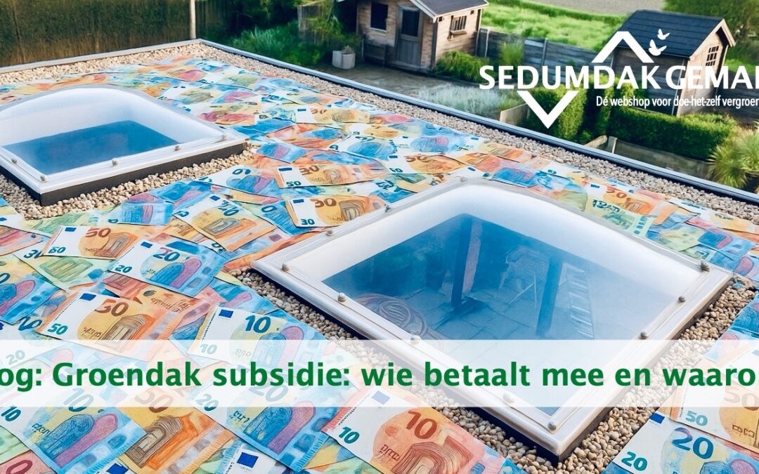 Groendak subsidie: wie betaalt mee en waarom?