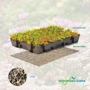 Lichtgewicht sedumcassette pakket met grind