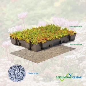 Lichtgewicht sedumcassette pakket met olivijn grind
