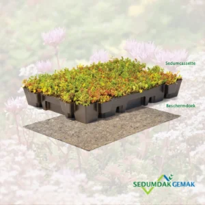 Lichtgewicht sedumcassette pakket zonder grind