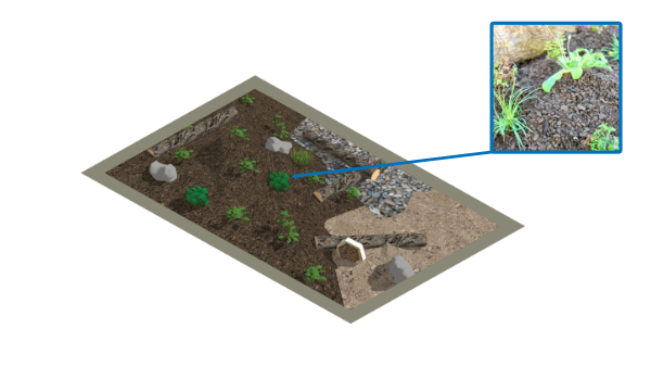 Aanbrengen plantenpakket biodivers