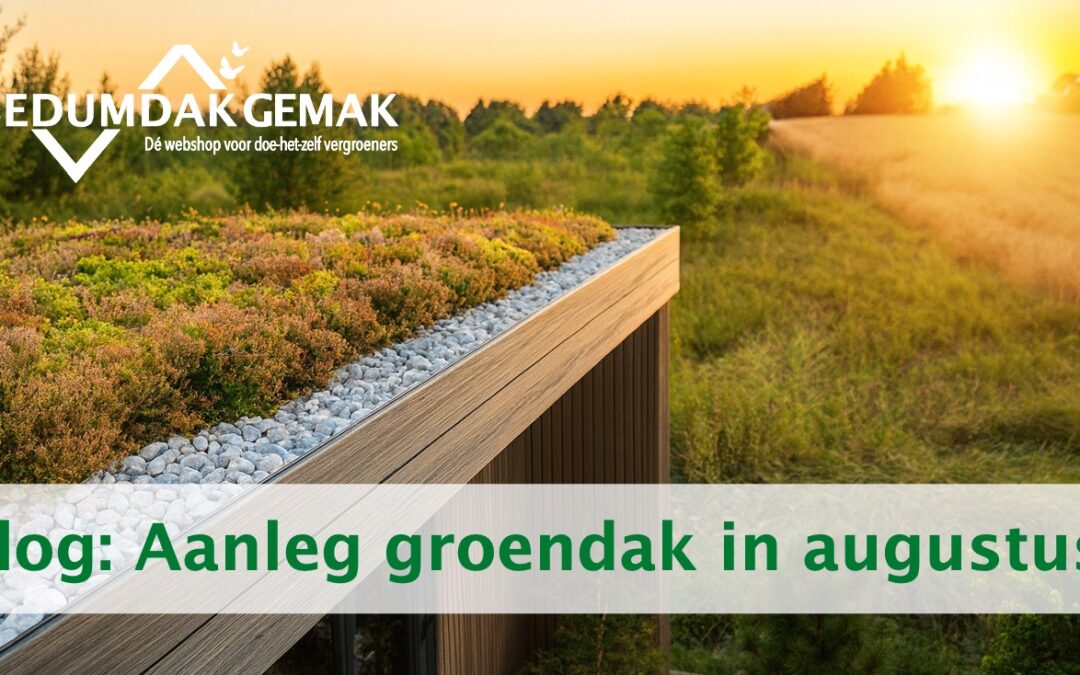 Aanleg groendak in augustus: slim, voordelig en gezellig