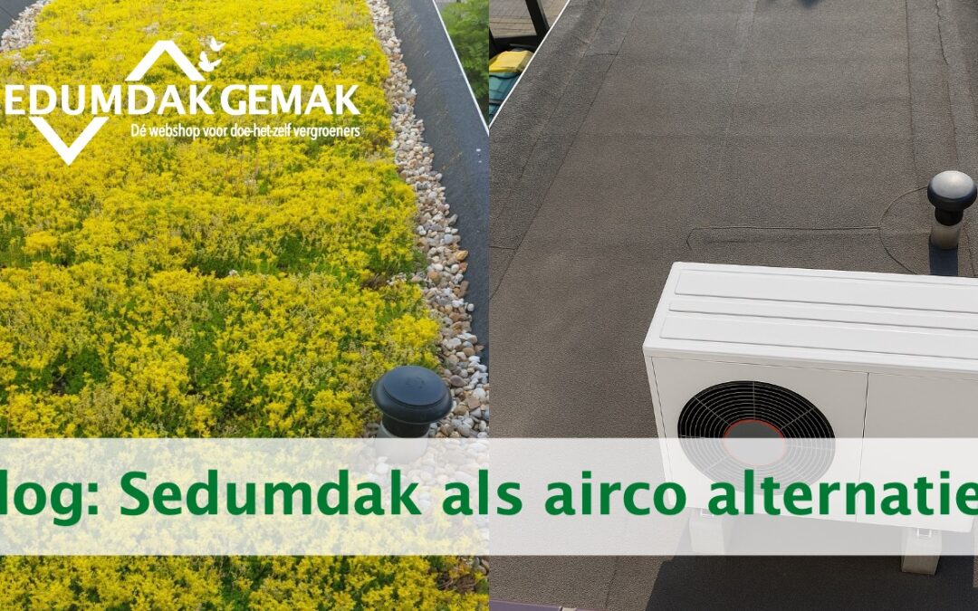 Airco alternatief: koel en duurzaam met een sedumdak