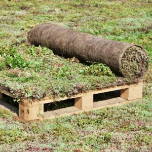 Sedummat hellend per m2