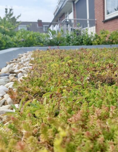 Resultaat week na aanleg