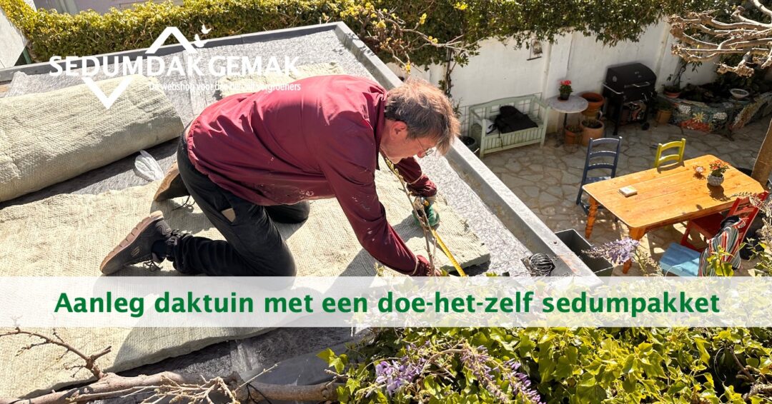 Aanleg daktuin met een doe-het-zelf sedumpakket