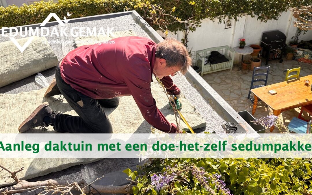 Aanleg daktuin met een doe-het-zelf sedumpakket