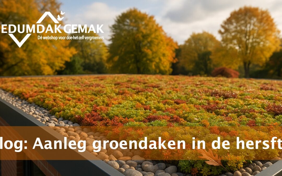 Aanleg groendaken in de herfst: het ideale moment!
