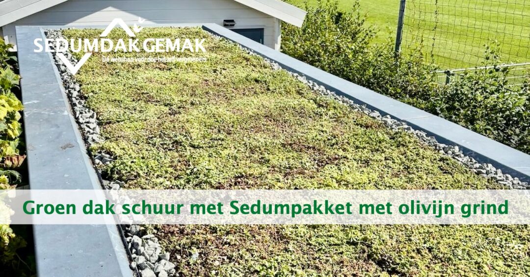Groen dak schuur aanleggen met olivijn grind rand