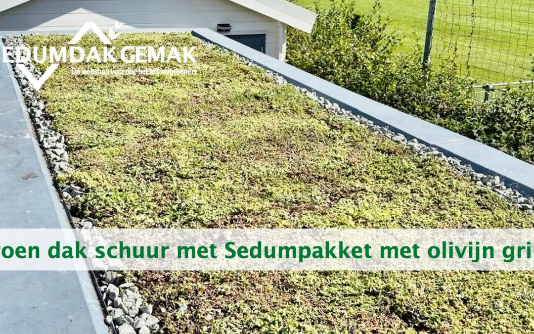 Groen dak schuur aanleggen met olivijn grind rand