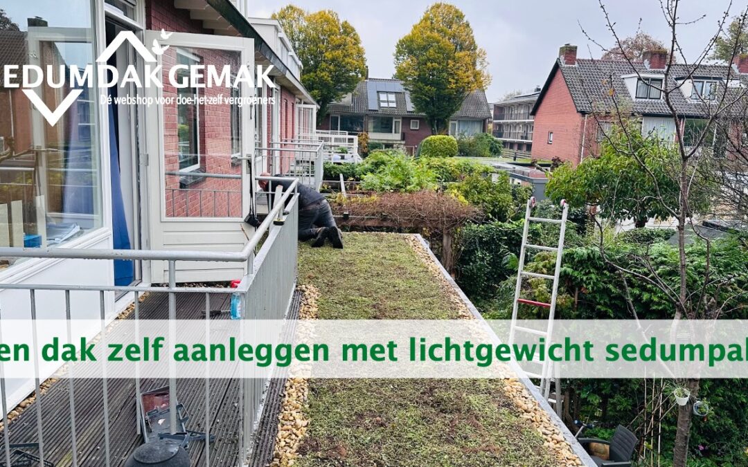 Groen dak zelf aanleggen in november