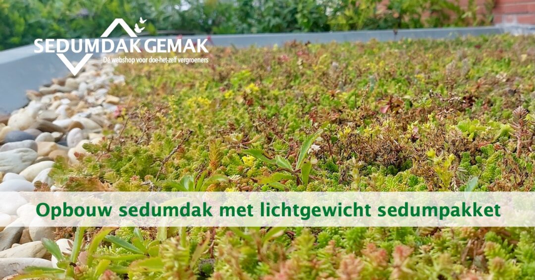 Sedumdak opbouw met lichtgewicht sedumpakket