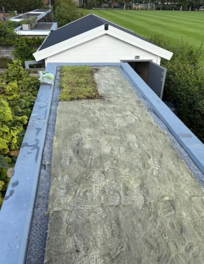 Uitrollen sedummatten