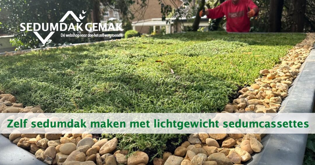 Zelf sedumdak maken met lichtgewicht sedum cassettes