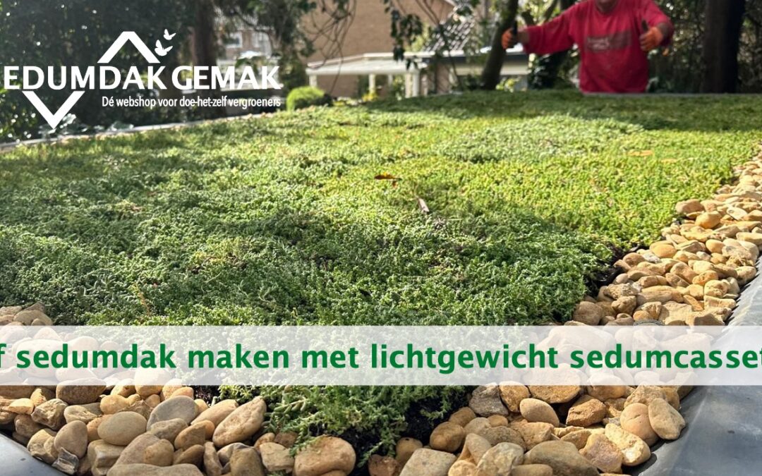 Zelf sedumdak maken met lichtgewicht sedum cassettes