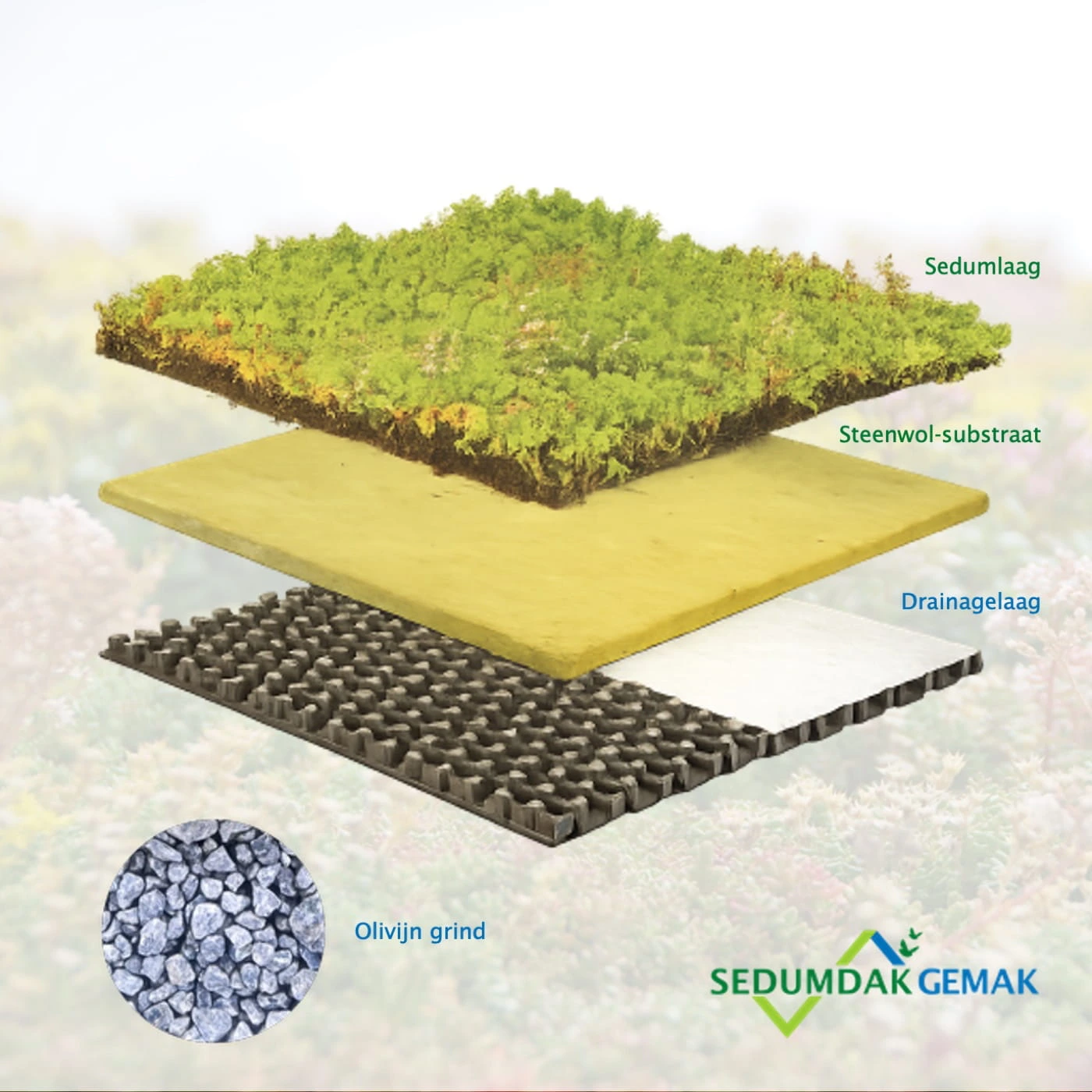 Lichtgewicht sedumpakket met olivijn grind