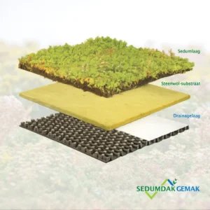 Lichtgewicht. sedumpakket zonder grind