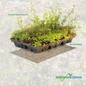 Kruiden Sedumcassette pakket