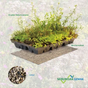 Kruiden Sedumcassette pakket met grind