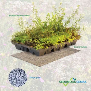 Kruiden Sedumcassette pakket met olivijn grind