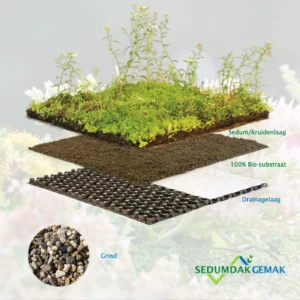 Kruiden sedumdak pakket met grind
