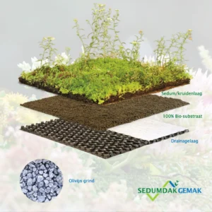 Kruiden sedumdak pakket met olivijn grind