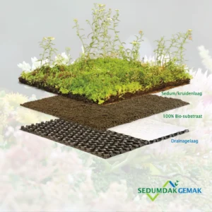 Kruiden sedumdak pakket zonder grind
