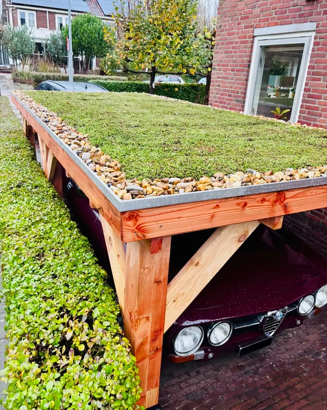 Sedumdak op carport in Rotterdam