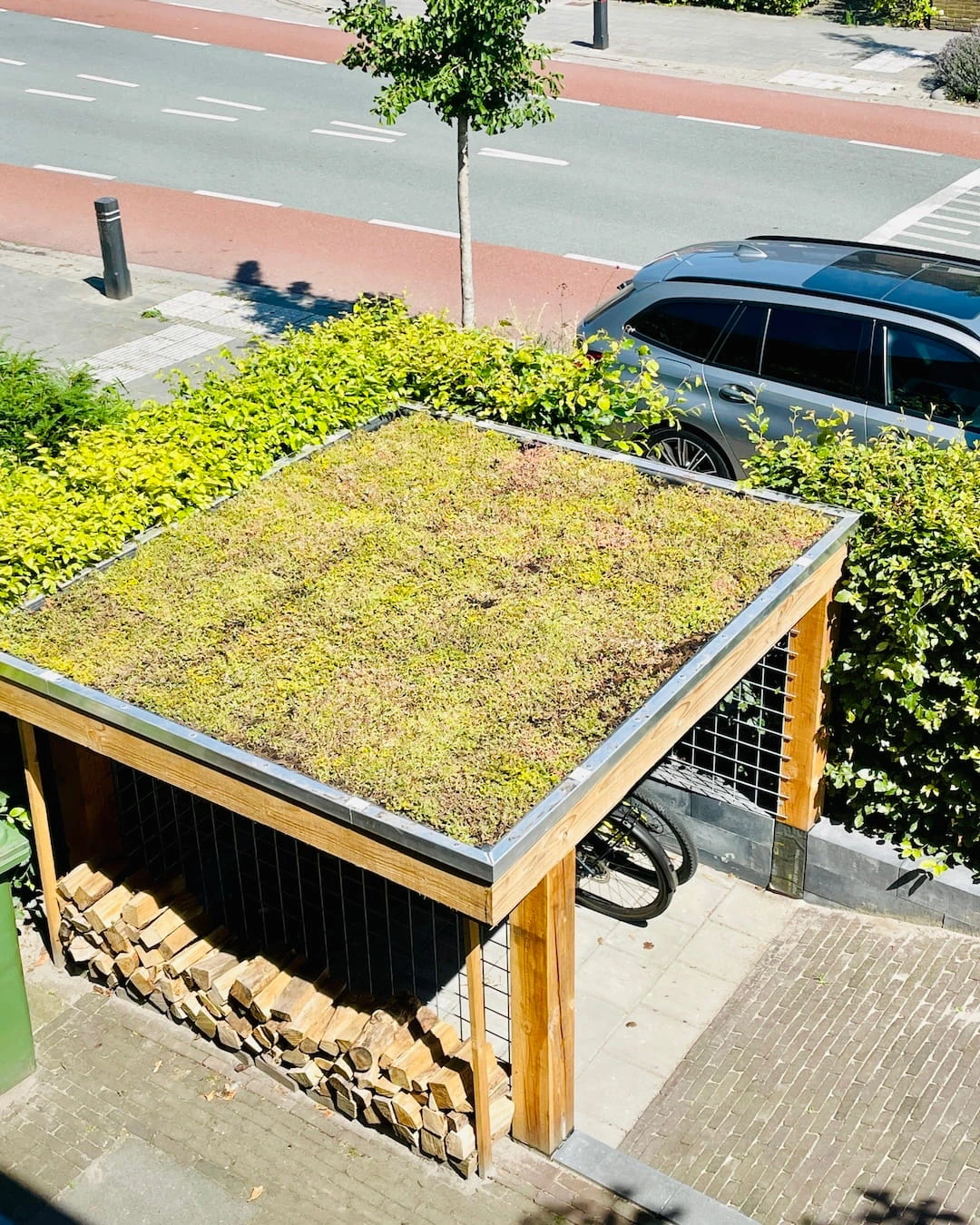 Sedumdak op fietsenstalling in Amersfoort