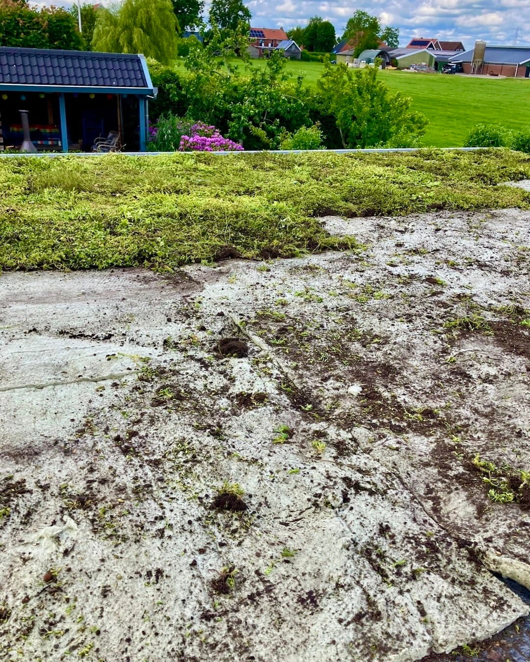 Sedumdak op garage in Rottum